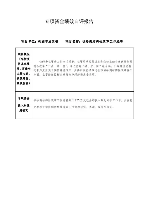 专项资金绩效自评报告