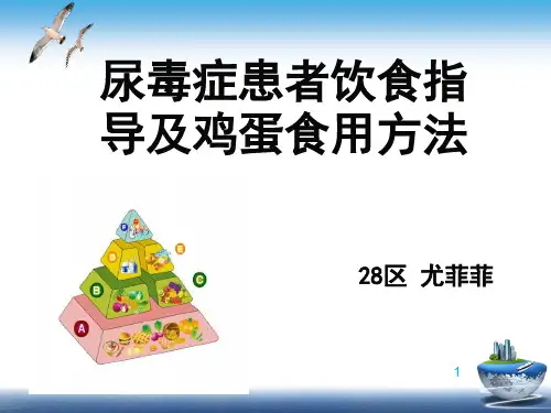 28区 尿毒症病人的饮食 (1)