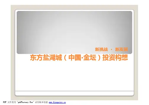 常州东方盐湖城发展构想