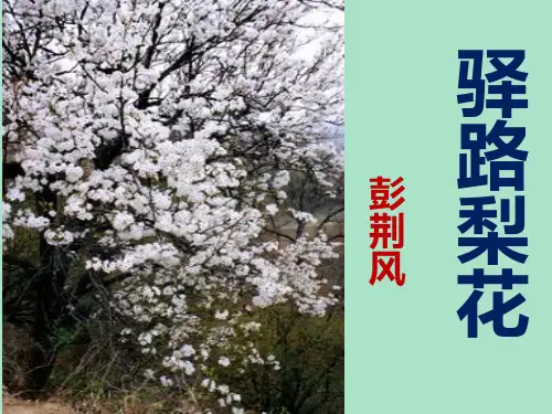 部编版七下14《驿路梨花》优秀课件