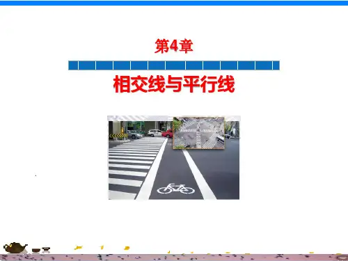 湘教版七年级数学下册4.1.1相交与平行
