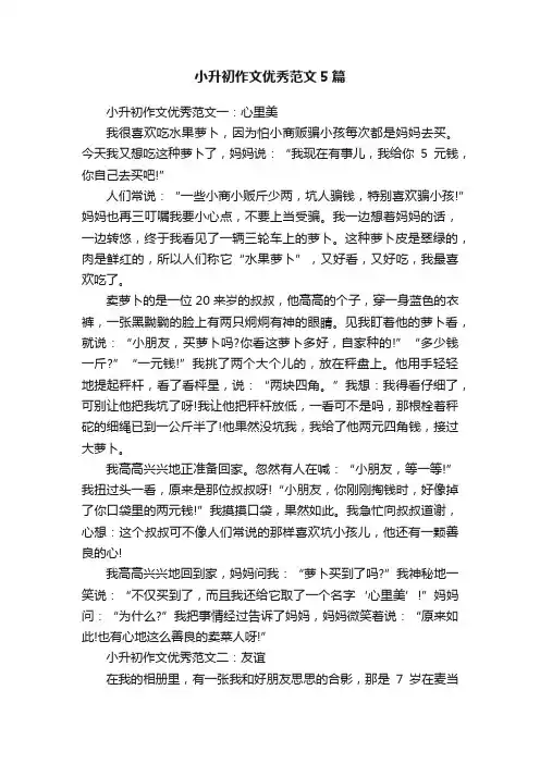 小升初作文优秀范文5篇