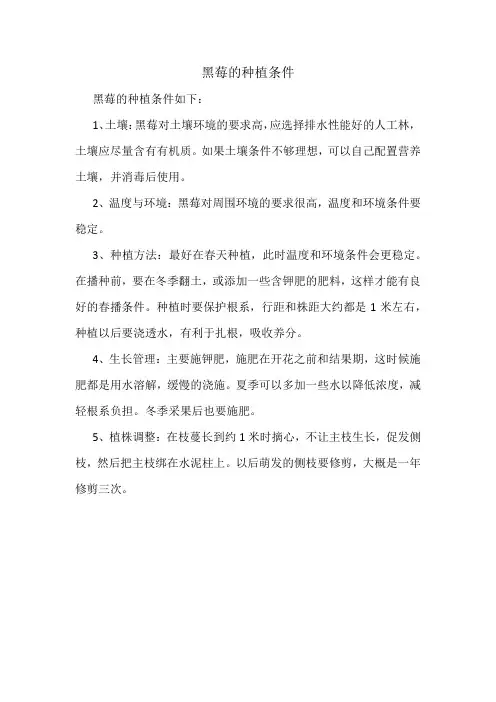 黑莓的种植条件