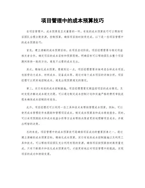 项目管理中的成本预算技巧