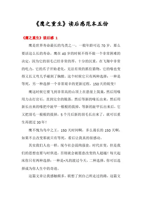 《鹰之重生》读后感范本五份