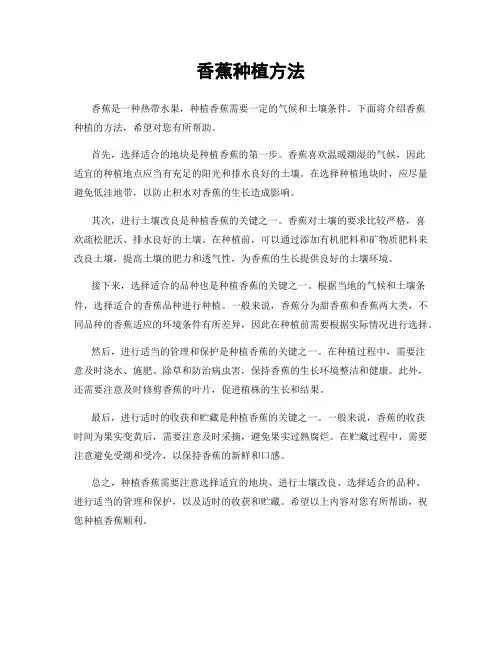 香蕉种植方法