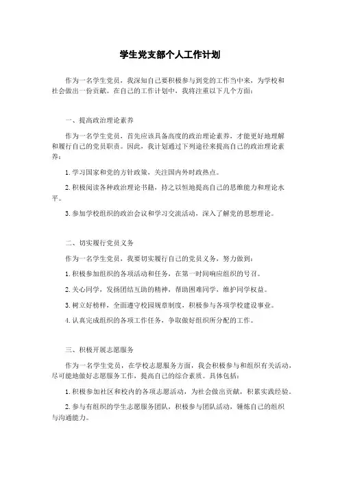 学生党支部个人工作计划