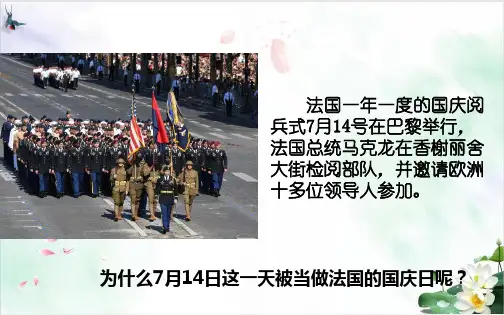 【岳麓版】高中历史法国大革命全文课件PPT2
