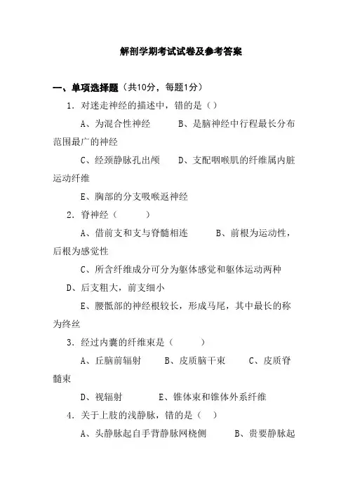 解剖学期考试试卷及参考答案
