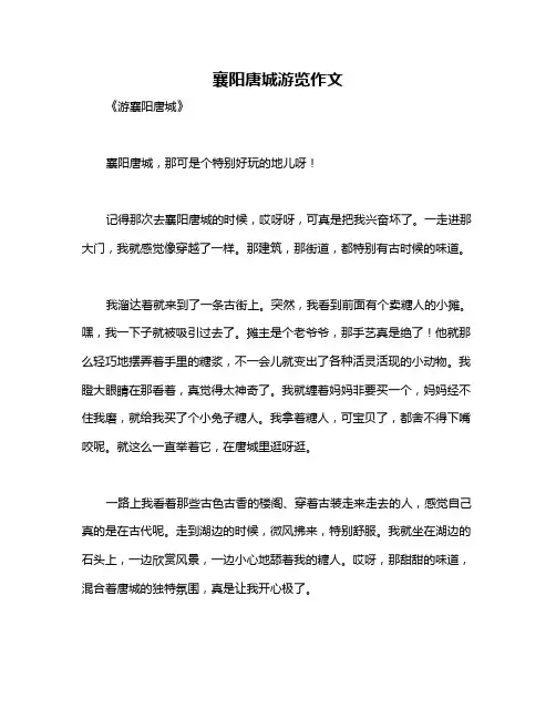 襄阳唐城游览作文
