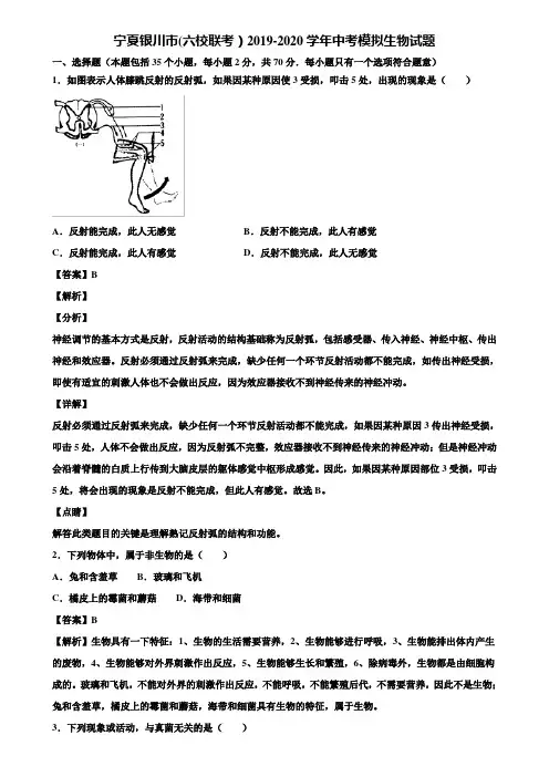 宁夏银川市(六校联考)2019-2020学年中考模拟生物试题含解析
