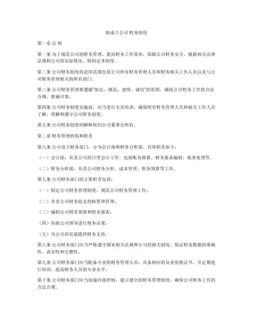 新成立公司 财务制度