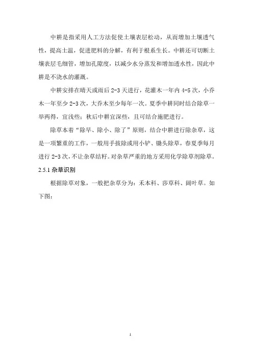 中耕除草措施