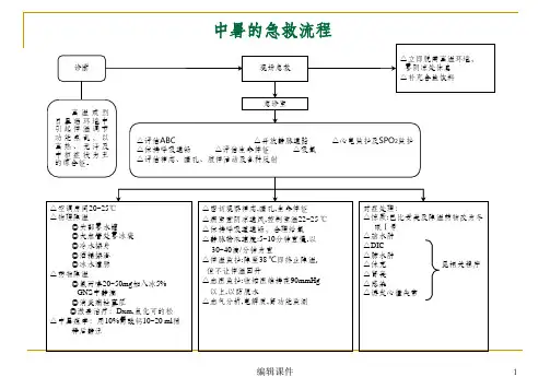 29种危急重症急救流程图解