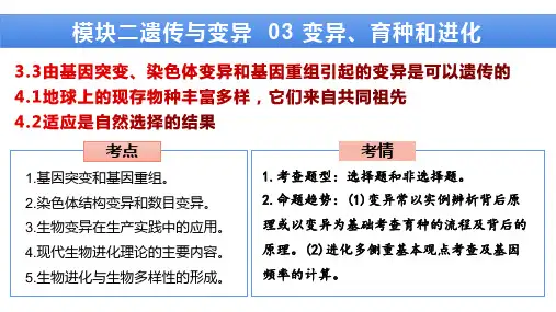 模块二遗传与变异03 变异、育种和进化-高考生物二轮复习重点专攻课件