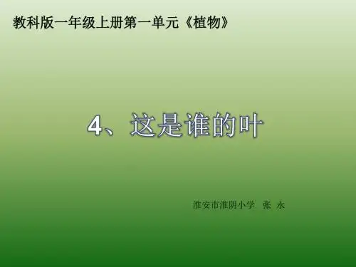 1.4这是谁的叶(bei)