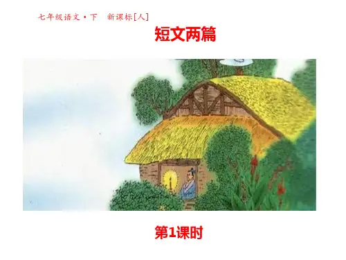 最新人教版七年级语文初一下册 《爱莲说》《陋室铭》 PPT课件