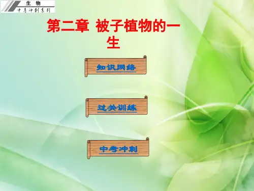 第二章  被子植物的一生PPT课件