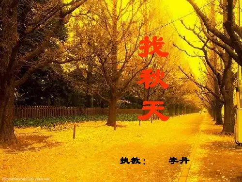 《找秋天PPT课件》