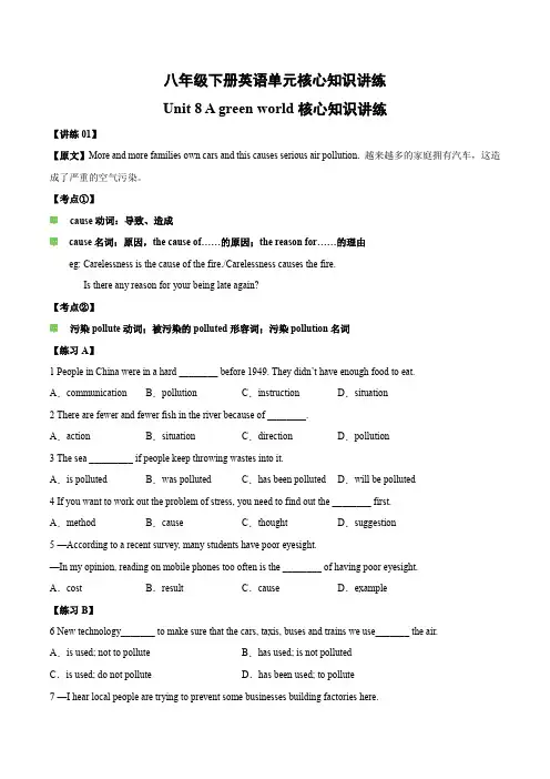 Unit8核心知识讲练-2023-2024学年八年级下册英语单元核心知识讲练(牛津译林版)