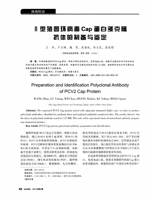 Ⅱ型猪圆环病毒Cap蛋白多克隆抗体的制备与鉴定