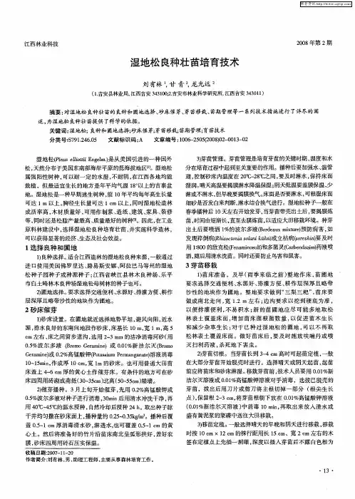 湿地松良种壮苗培育技术