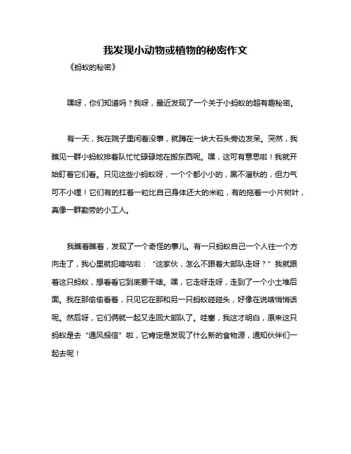 我发现小动物或植物的秘密作文