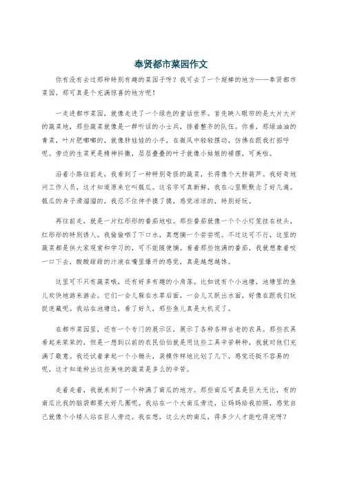 奉贤都市菜园作文