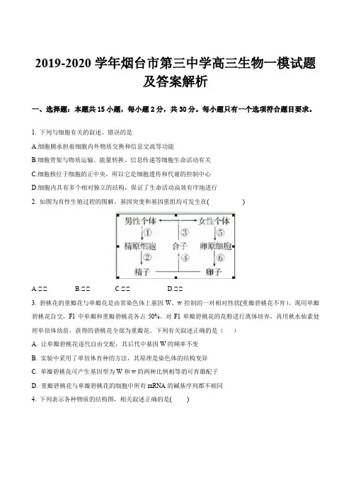 2019-2020学年烟台市第三中学高三生物一模试题及答案解析