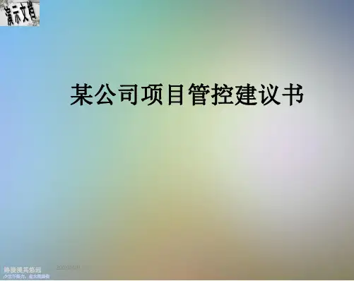 某公司项目管控建议书