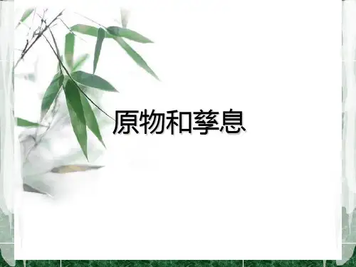 原物和孳息