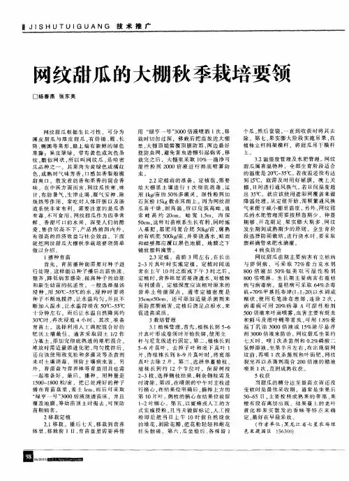 网纹甜瓜的大棚秋季栽培要领