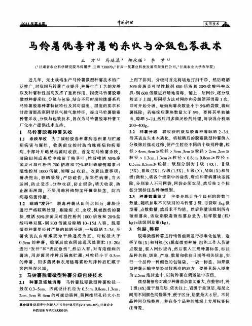马铃薯脱毒种薯的采收与分级包装技术