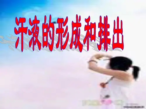 【初中生物】汗液的形成和排出PPT课件