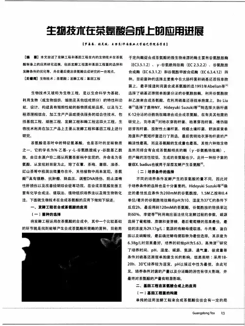生物技术在茶氨酸合成上的应用进展