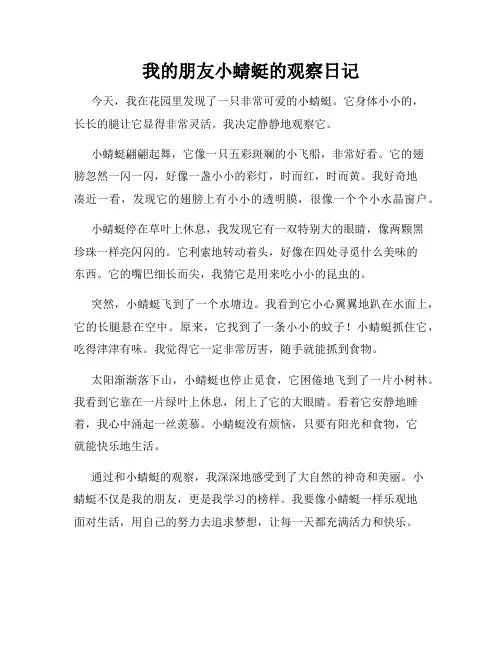 小学三年级作文我的朋友小蜻蜓的观察日记