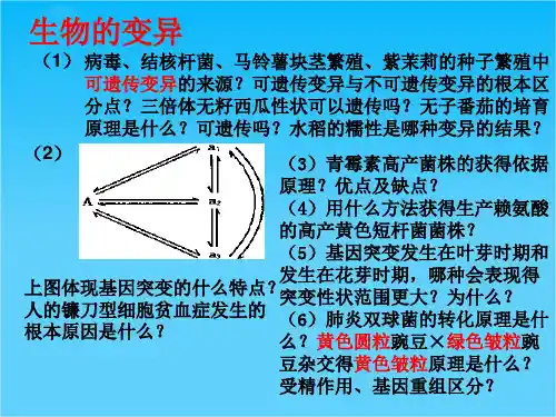 高中生物一轮复习课件染色体变异