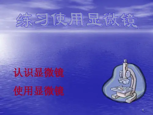 显微镜ppt课件