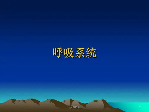 呼吸系统影像学表现(详细、全面)ppt课件