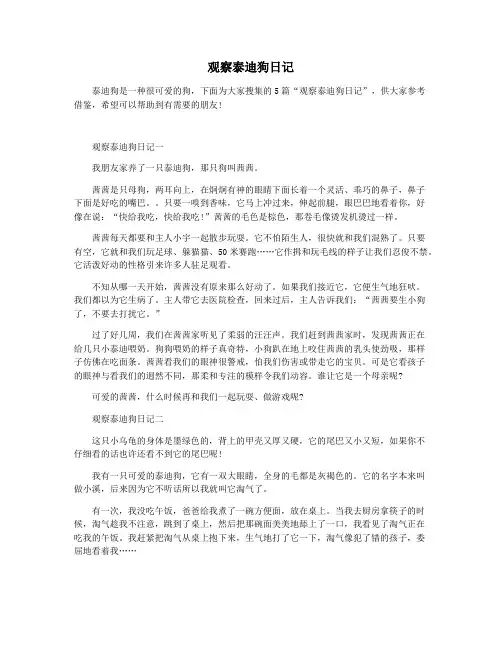 观察泰迪狗日记