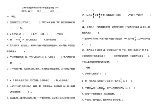 泰安市博文中学小升初数学模拟试题及答案