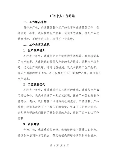 厂长个人工作总结