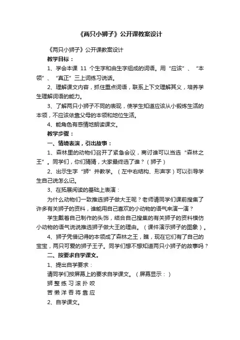 《两只小狮子》公开课教案设计