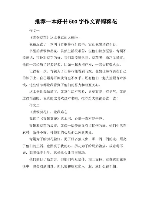 推荐一本好书500字作文青铜葵花