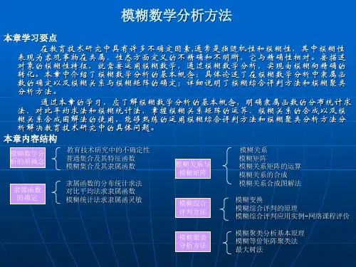模糊数学分析方法