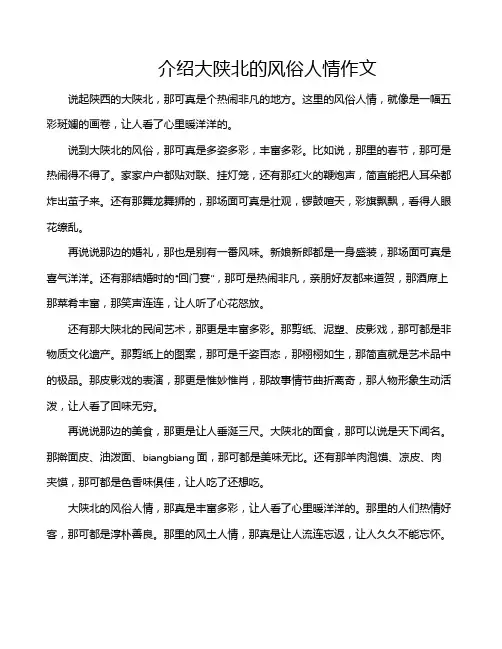 介绍大陕北的风俗人情作文