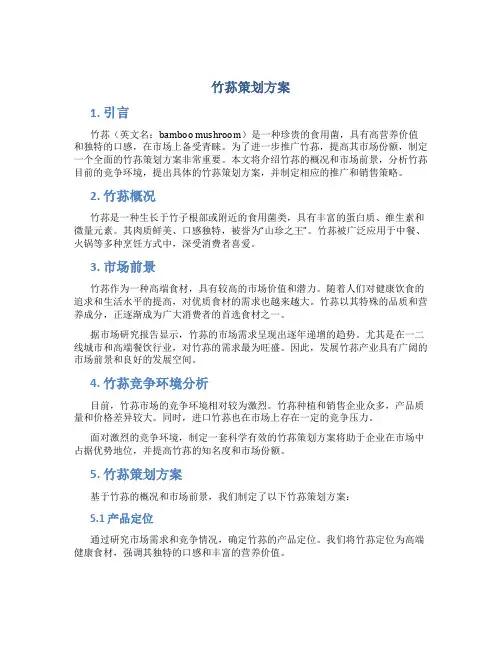 竹荪策划方案