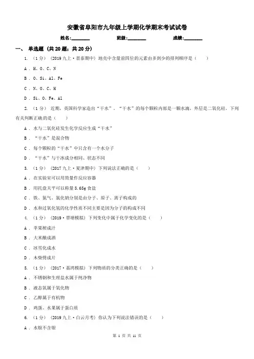 安徽省阜阳市九年级上学期化学期末考试试卷 