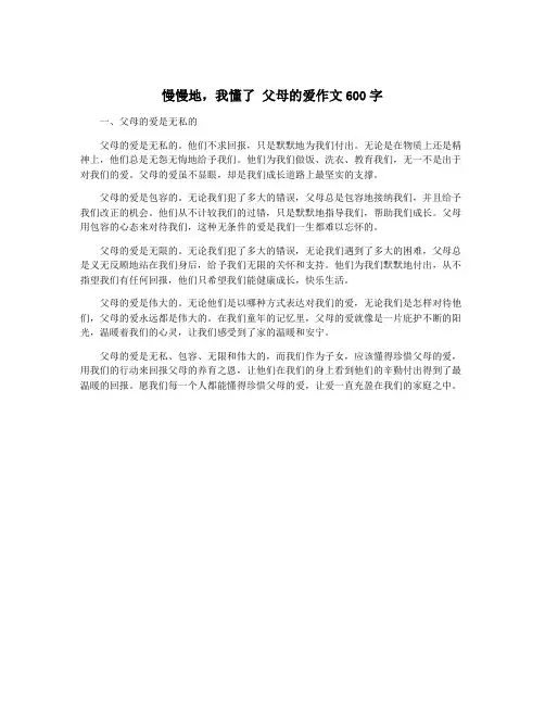 慢慢地,我懂了 父母的爱作文600字