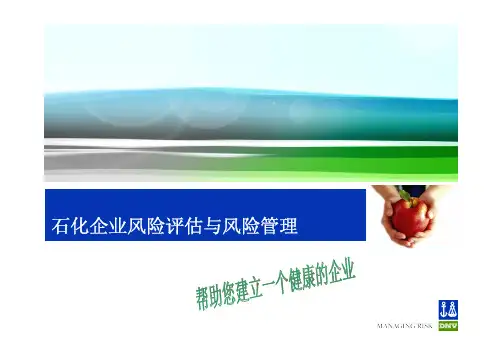 石化企业风险评估与风险管理